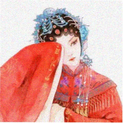 读者青芜的头像